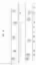 Fig. 43 - INTELLIGENT SHOWER SYSTEM AND METHODS FOR PROVIDING AUTOMATICALLY-UPDATED SHOWER RECIPE