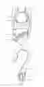 Fig. 06 - Belt adjustment and fixation hook