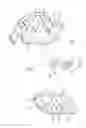 Fig. 06 - CORDLESS SHADE ROLLER