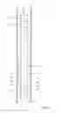 Fig. 02 - Downhole operational tool
