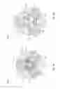 Fig. 07 - Wellbore tool reamer assembly