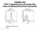 Fig. 197 - METHODS AND COMPOSITIONS FOR TREATING AND DIAGNOSING DISEASES