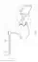 Fig. 02 - Endoscope and adaptor for endoscope