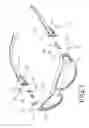 Fig. 02 - GLASSES FRAME STRUCTURE