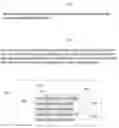 Fig. 01 - Scalable content rendering