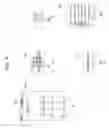 Fig. 09 - Mobile terminal and controlling method thereof