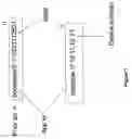 Fig. 02 - Hashtag, deep link and linket for more user interactions