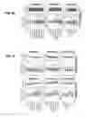 Fig. 09 - Methods of identifying cellular replication timing signatures and methods of use thereof