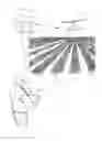 Fig. 02 - Vision enhanced drones for precision farming