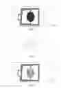 Fig. 02 - Bio-electronic tag-based feature extraction and verification method, device, tag and storage medium