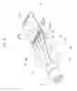 Fig. 06 - Communication cable