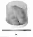 Fig. 02 - Boron nitride nanotube enhanced electrical components