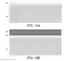 Fig. 09 - Semiconductor device and manufacturing method therefor