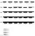 Fig. 01 - ARCHITECTURE FOR VERY HIGH RESOLUTION AMOLED DISPLAY