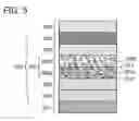 Fig. 06 - Light-emitting element, light-emitting device, electronic device, and lighting device each comprising light-emitting layer with mixed organic compounds capable of forming exciplex