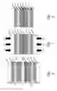 Fig. 06 - Protected electrode structures and methods