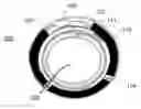 Fig. 01 - Pellet form cathode for use in a biocompatible battery
