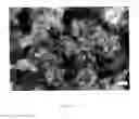 Fig. 02 - Lithium manganese phosphate nanoparticles and method for manufacturing same, carbon-coated lithium manganese phosphate nanoparticles, carbon-coated lithium manganese phosphate nanoparticle granulated body, and lithium ion cell