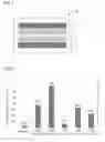 Fig. 02 - Anode layer for fluoride ion battery and fluoride ion battery