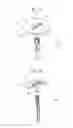 Fig. 09 - Connector assembly and connector assembly mounted structure