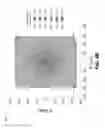 Fig. 07 - Variable emission area design for a vertical-cavity surface-emitting laser array
