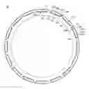 Fig. 01 - Rotor for rotary electric machine and manufacturing method