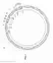 Fig. 02 - Rotor for rotary electric machine and manufacturing method