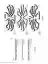 Fig. 06 - Stator assembly with stack of coated conductors