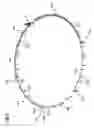 Fig. 06 - Stator assembly with a cable wiring arrangement, generator and wind turbine with such a stator assembly