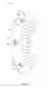 Fig. 03 - Stators for electrical machines