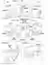 Fig. 01 - CALENDARING ACTIVITIES BASED ON COMMUNICATION PROCESSING