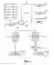 Fig. 02 - Network switching detection for toll-free data service provision