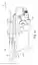 Fig. 04 - Head-up display and operation of opening cover thereof