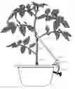 Fig. 01 - Plant Training System