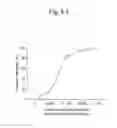 Fig. 04 - Method of conveniently producing genetically modified non-human mammal with high efficiency