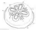 Fig. 01 - Microwave splatter cover or enclosure