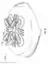 Fig. 13 - Microwave splatter cover or enclosure