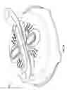 Fig. 20 - Microwave splatter cover or enclosure