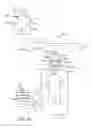 Fig. 02 - Methods and apparatus to shape flexible entry guides for minimally invasive surgery