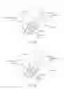 Fig. 09 - Catheter apparatuses for modulation of nerves in communication with the pulmonary system and associated systems and methods