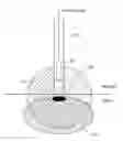 Fig. 01 - SYSTEMS AND METHODS FOR FACILITATING CONSISTENT RADIOMETRIC TISSUE CONTACT DETECTION INDEPENDENT OF ORIENTATION