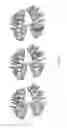 Fig. 10 - ELECTRONIC DENTAL CHARTING