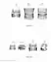 Fig. 17 - ELECTRONIC DENTAL CHARTING