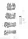 Fig. 22 - ELECTRONIC DENTAL CHARTING
