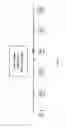 Fig. 27 - ELECTRONIC DENTAL CHARTING