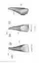 Fig. 32 - ELECTRONIC DENTAL CHARTING