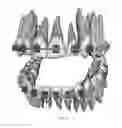Fig. 33 - ELECTRONIC DENTAL CHARTING