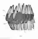Fig. 34 - ELECTRONIC DENTAL CHARTING