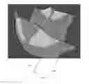 Fig. 35 - ELECTRONIC DENTAL CHARTING