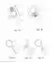Fig. 15 - Vertebral implants and attachment assemblies
